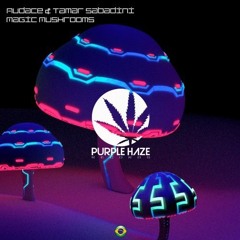 Audace & Tamar Sabadini - Magic Mushrooms(Original Mix) [Purple Haze]