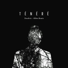 TÉNÉRÉ - Tenebris (Olëm Remix)