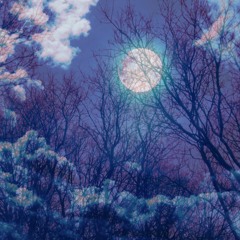 DL_/\_!!i Tomoniikireru but upload する場所がな-i、