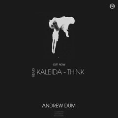 Andrew Dum x Kaleida - Think [remix] radio edit