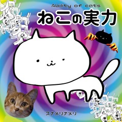 ねこの実力