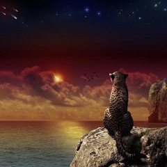 ~Mystiq~ ;)  Because when you are imagining, you might as well imagine something worth while.”