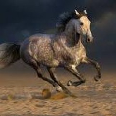 Ride. Ft- Frioo,Dj,Tvbo,Fox