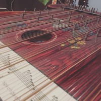 Zither In Movements