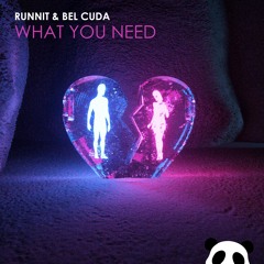 Runnit & Bel Cuda  - What You Need