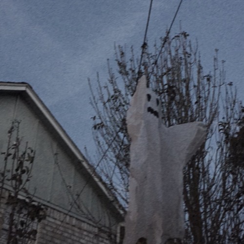 ɹoɹɹᴉɯ ǝɥʇ uᴉ ʞool ʇ,uop