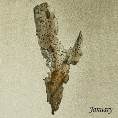 Djebali - January (Once A Month) [TFD002]