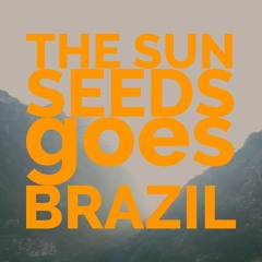Sun Seeds From Brazil