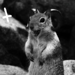 Yu-Gi-Oh! Legacy of the Duelist