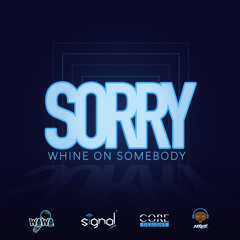 Sorry (Whine On Somebody)
