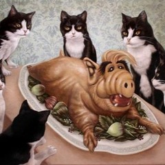 Cat Party