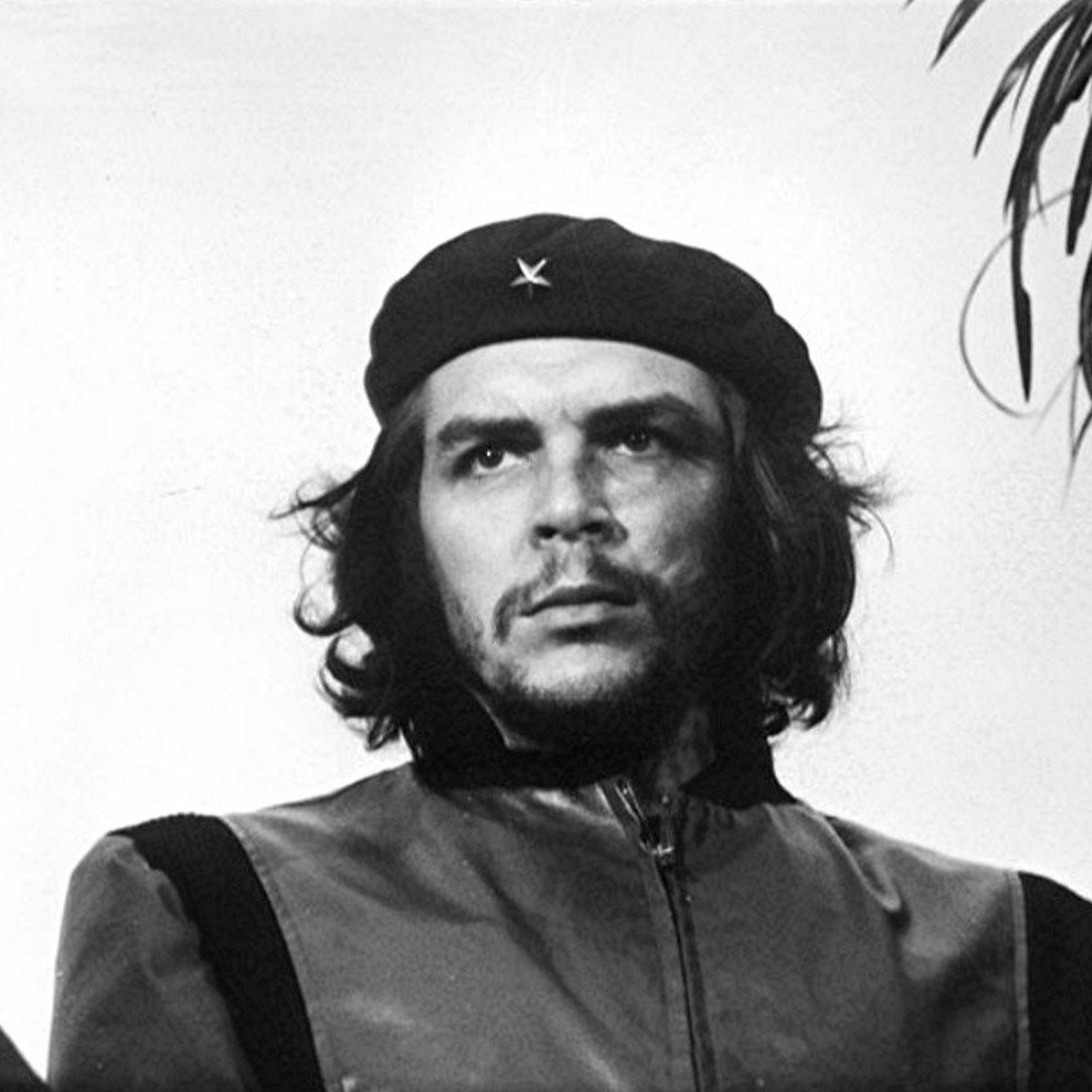 Hasta siempre, Comandante! - Music and Society