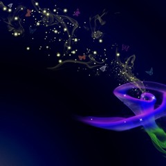 Rob Nilsson - Don't Don't Party Ali - EDM Festival Project