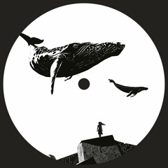 *Premiere* Harrison BDP - Confusion Of Sound