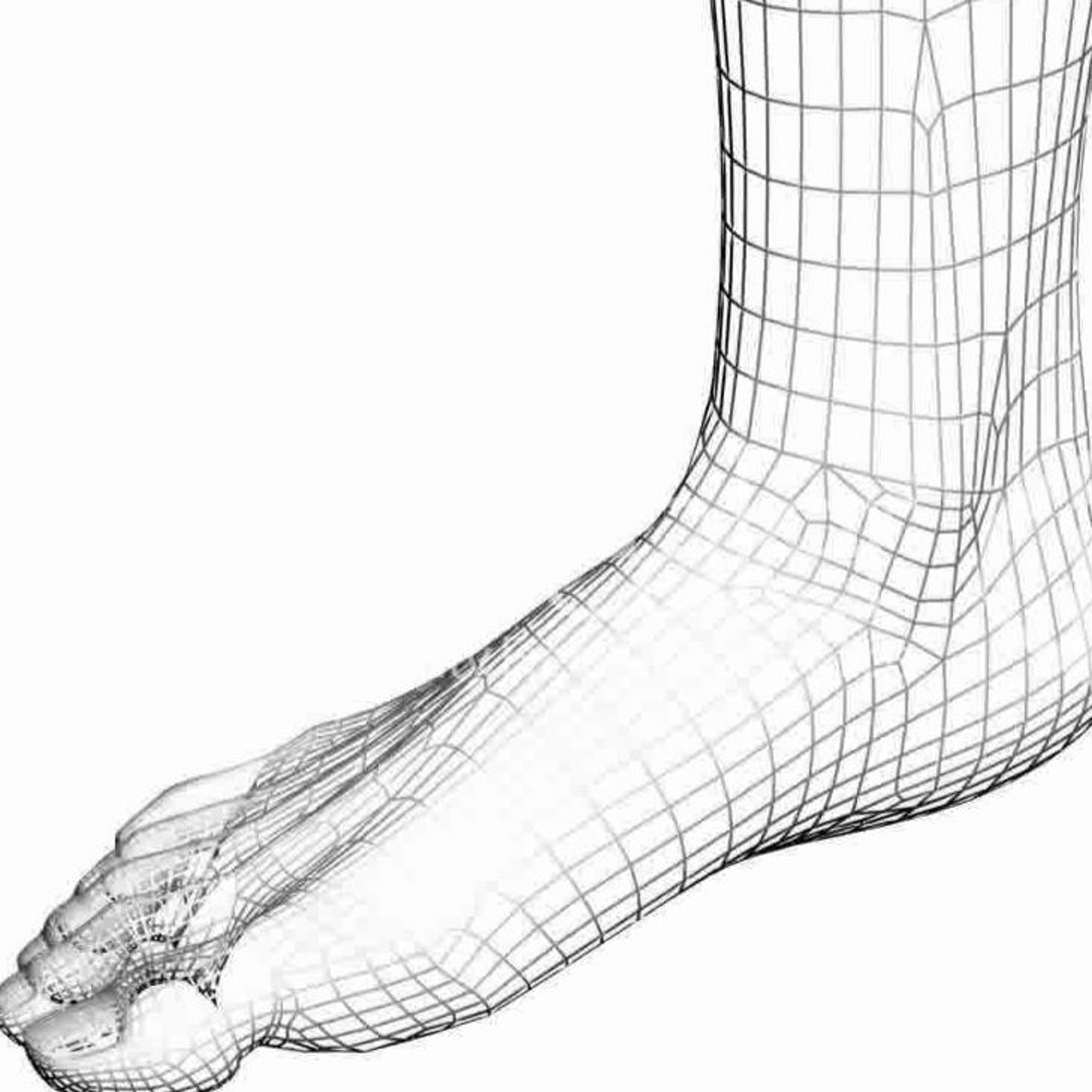 meatsock
