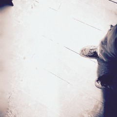 Ambient