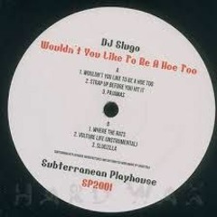 Dj Slugo - Would you like to be a hoe too (Roca remix)
