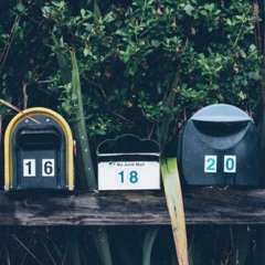 The Introverts - Return To Sender