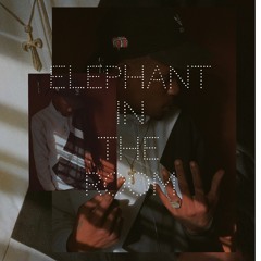 Elephant In The Room