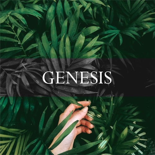 Genesis