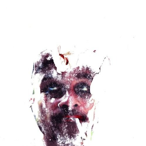 PREMIERE : Syncboy - Waterfalls