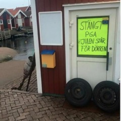 Plateaux -- live premiere recording -- Ensemble neoN & Jennifer Torrence 2017