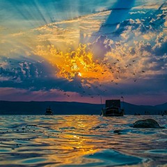 سكبتك في دمي حلما