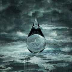 Birds of Passage - Without the World