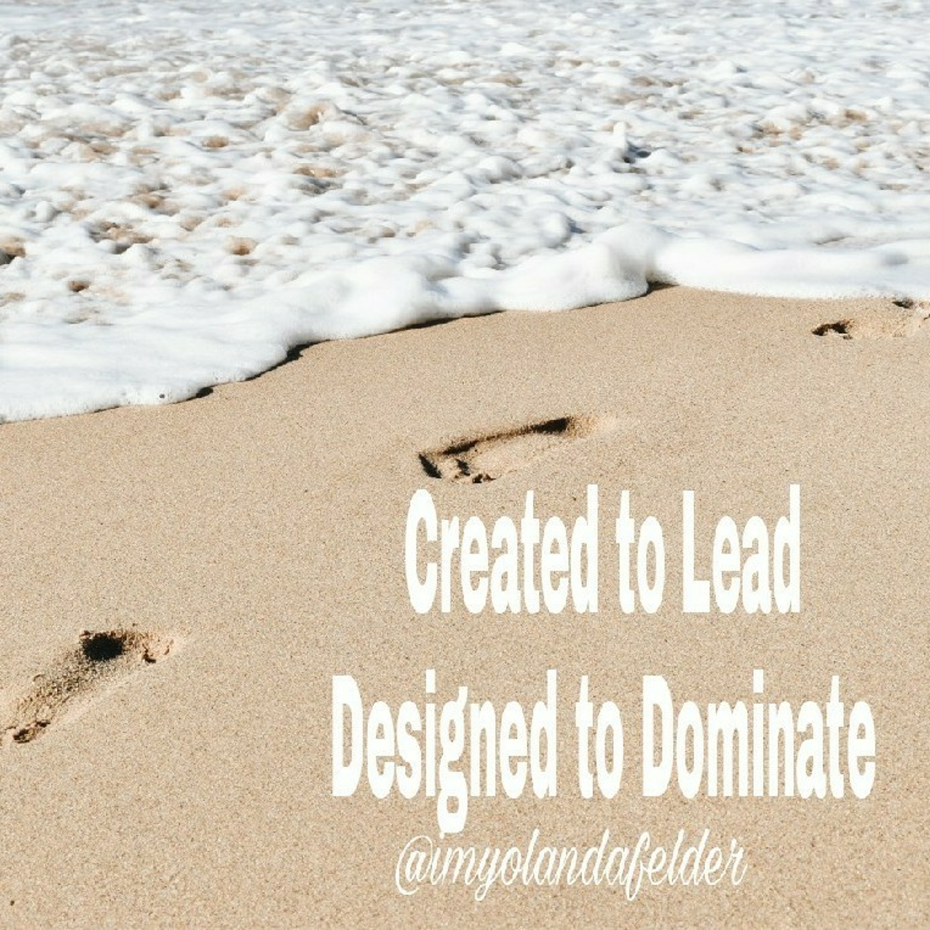 Created to Lead Designed to Dominate