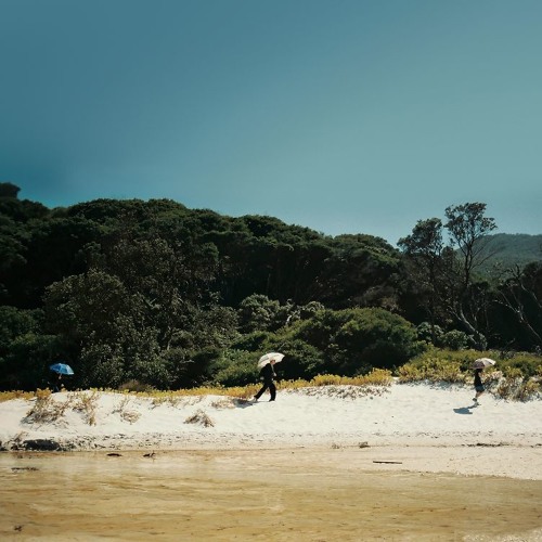 Albrecht La'Brooy - Sealers Cove (STW Premiere)