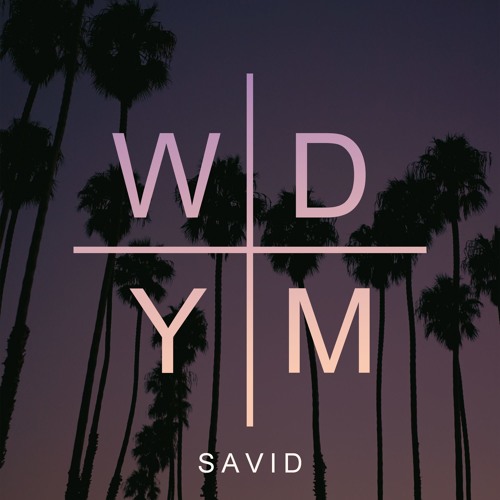 Savid - WDYM (Instrumental)