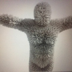 desenvolvedor de rayos