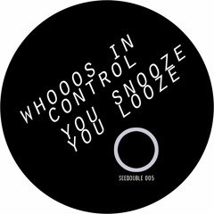 Boris Werner - Whooos In Control