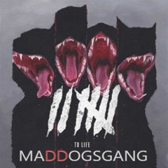 MADDOGSGANG