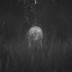 bu dünya benim hakkımda ne biliyor?