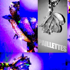 PAILLETTES FAIT SON HAPPENING (N°1)
