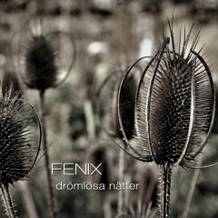 Fenix - På väg därifrån
