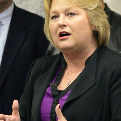 Stream Terri Bryant Murphysboro Re Opening by Radio Will Listen