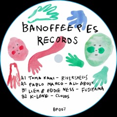 Liem & Eddie Ness - Fujiyama (STW Premiere)