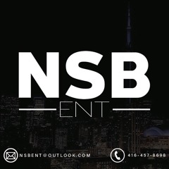 NSB Hindi Bangers Vol.  I - @TheRealNSBENT