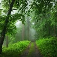Deejay Aziz_the nature