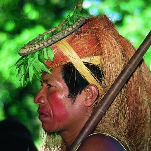 "Deepesprit" Deep forest Amazonia remix by Terra-pi