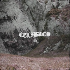 Celibacy - Rise
