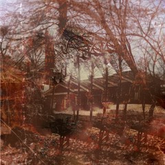 Lotus [Prod. Alex Oren]