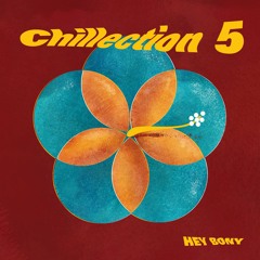 Chillection #5 - New Hip Hop & RnB trends (monthly mix)