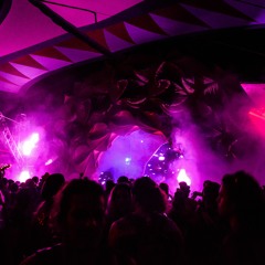 Live @ Rainbow Serpent Festival [2AM Sunset Stage]