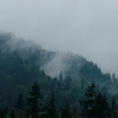Weather