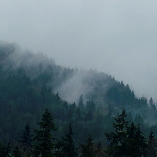 Weather