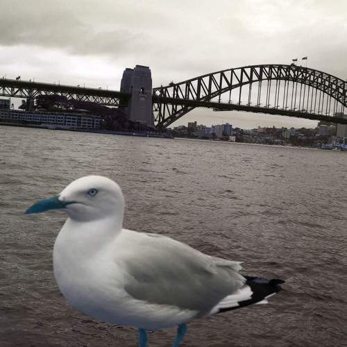 Mess-Up Mixtape 5 (Trendy HipHop Trap Mix)