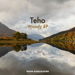 Teho - Upside Down (Traum V218)